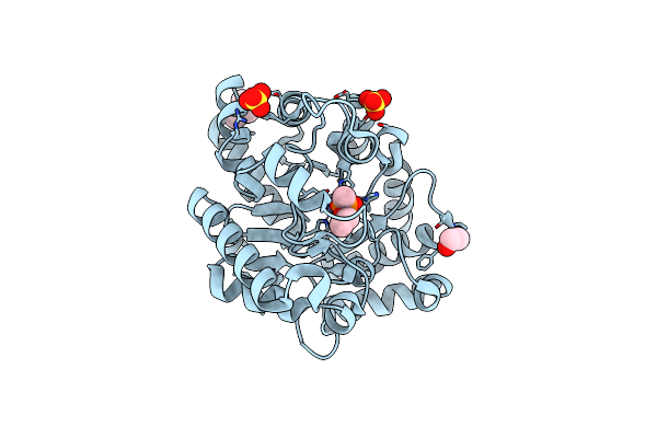8P7S image