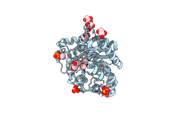 8P7T image