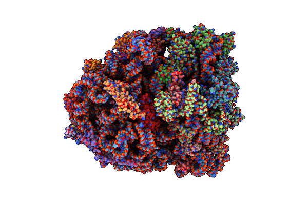 8P7X image