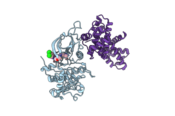 8P81 image