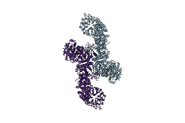 8P82 image