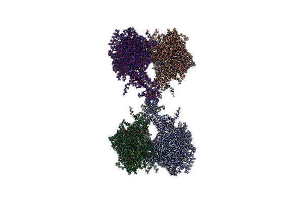 8P83 image