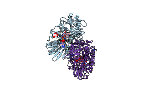 8P84 image