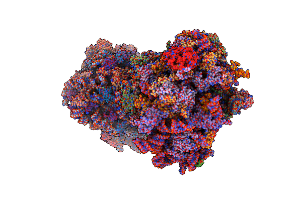 8P85 image