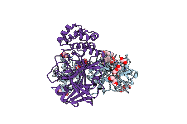 8P86 image