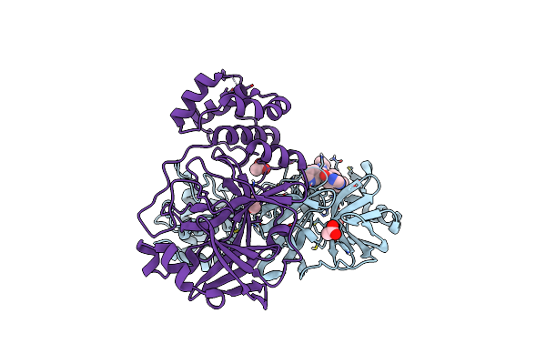 8P87 image
