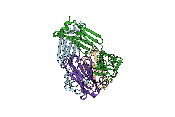 8P89 image