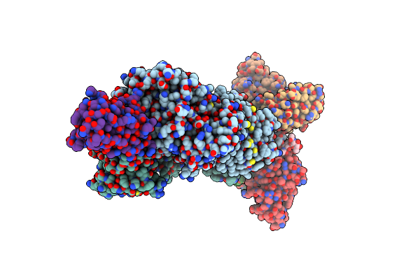 8P8A image