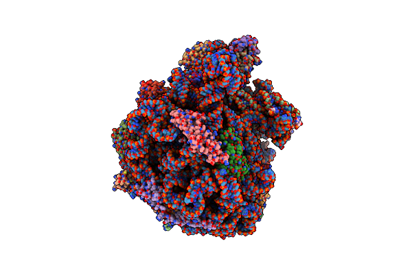 8P8B image