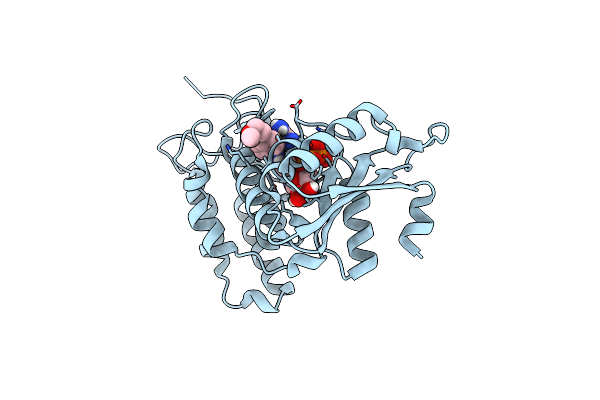 8P8C image