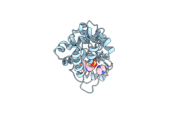 8P8E image
