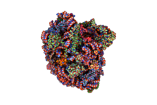 8P8M image