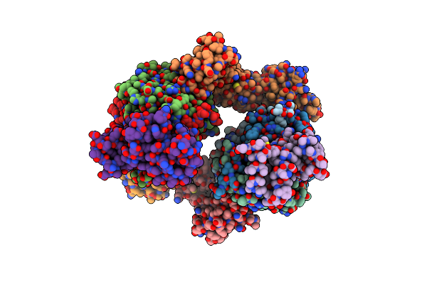 8P8O image