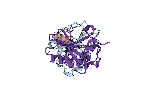 8P8P image