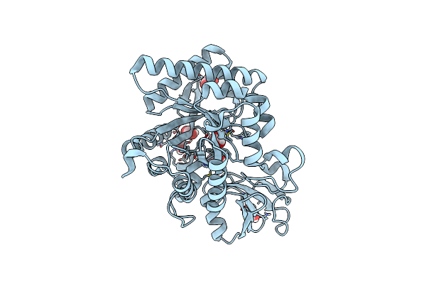 8P8S image