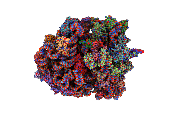 8P8V image