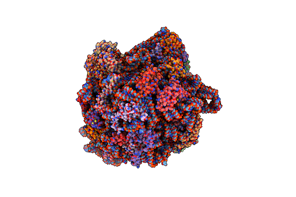 8P8W image