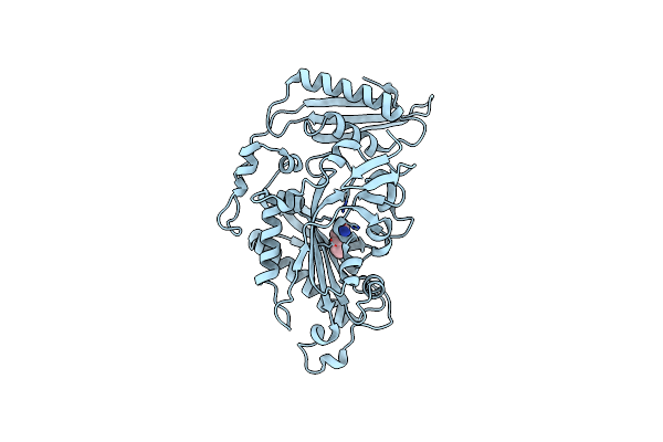 8P8X image