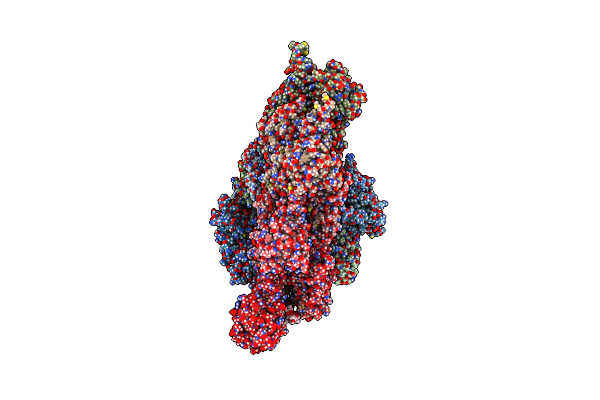 8P94 image