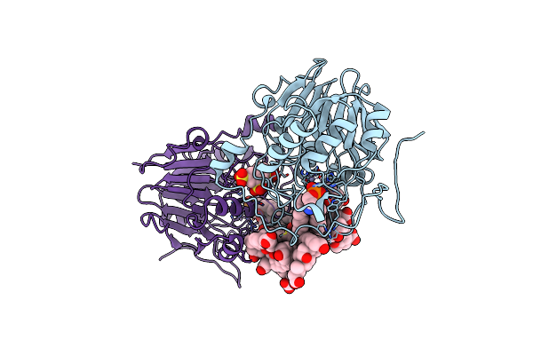 8P96 image