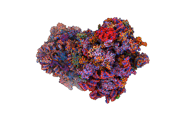 8P9A image