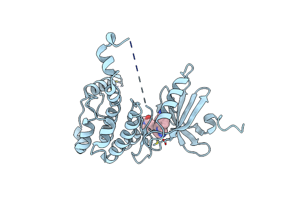 8P9B image