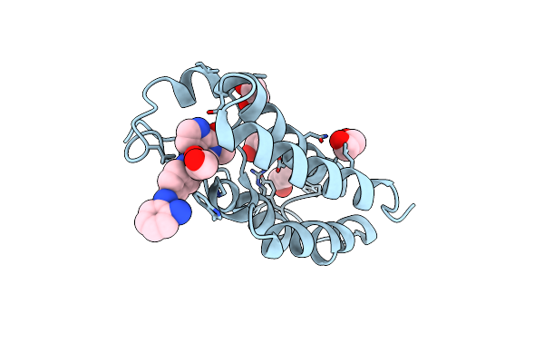 8P9H image