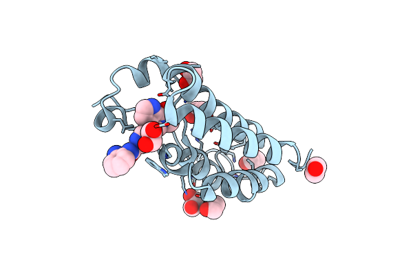 8P9J image