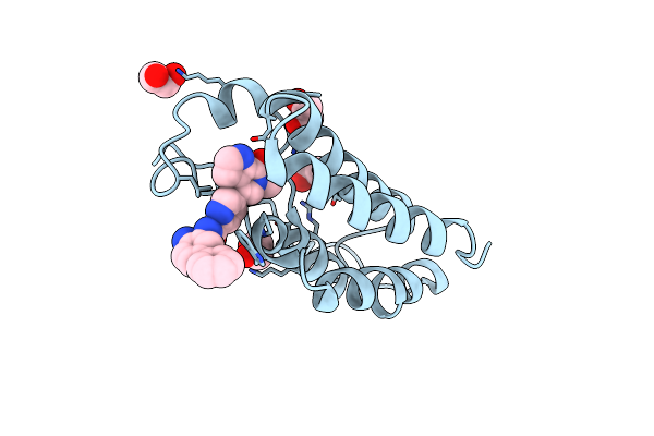 8P9L image