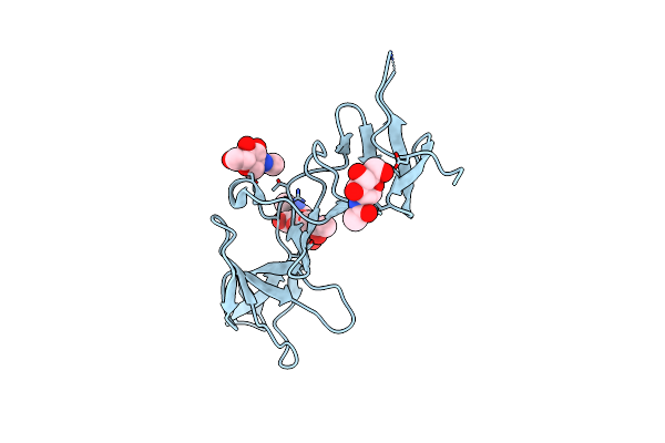 8PAE image