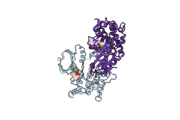8PAU image