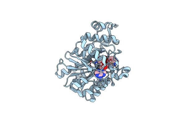 8PB6 image