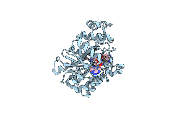 8PB7 image