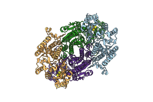 8PBB image