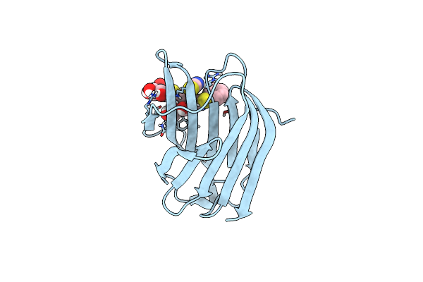 8PBF image