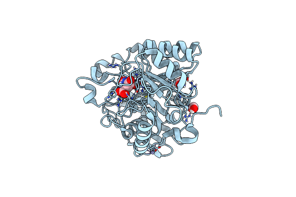 8PBP image