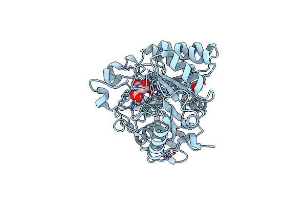 8PBQ image