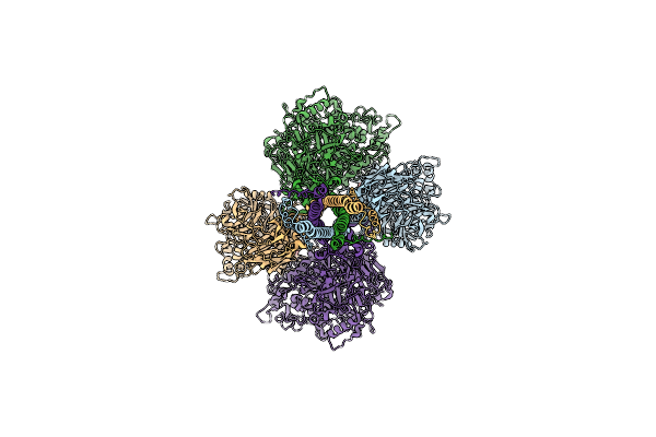 8PBZ image