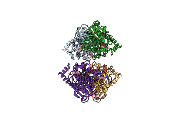 8PC7 image