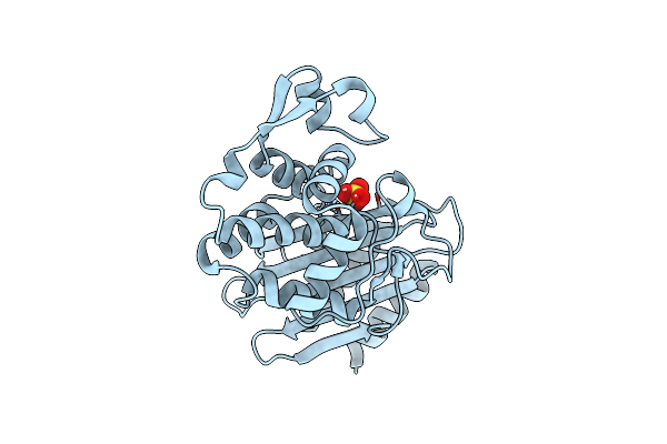 8PC9 image