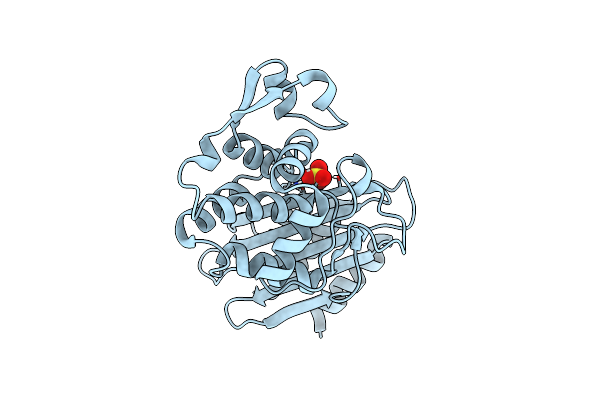 8PCA image