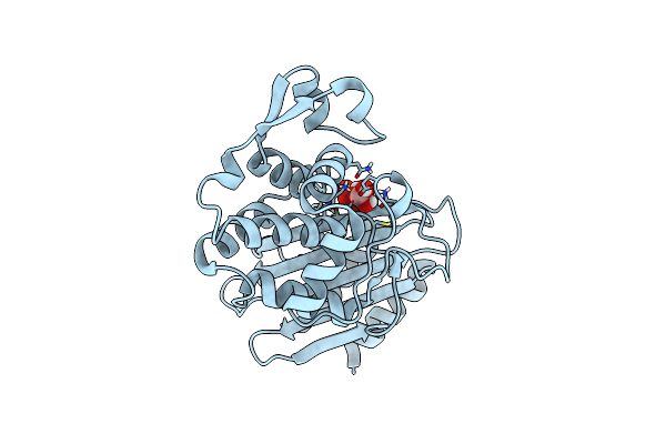 8PCJ image
