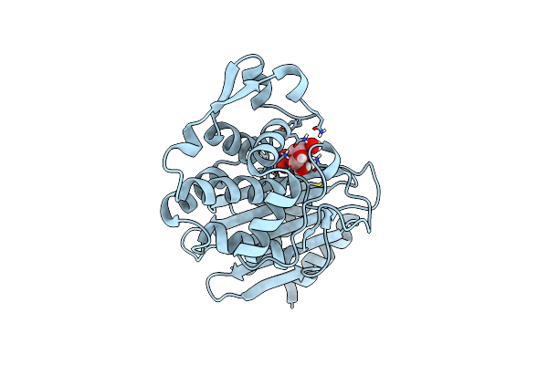 8PCM image