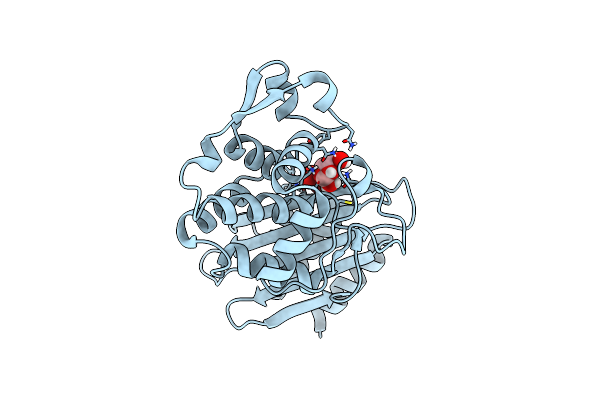 8PCV image