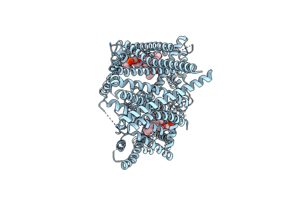 8PD0 image