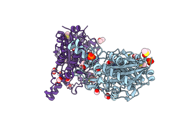 8PD1 image