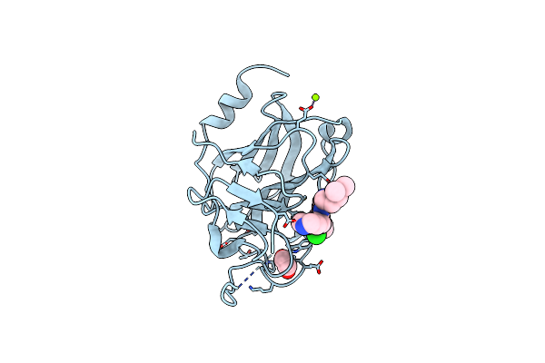 8PD6 image