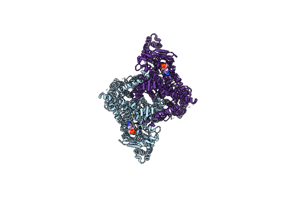 8PD8 image
