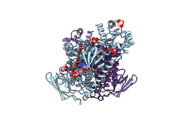 8PDD image