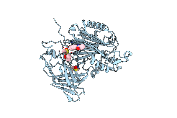8PDG image